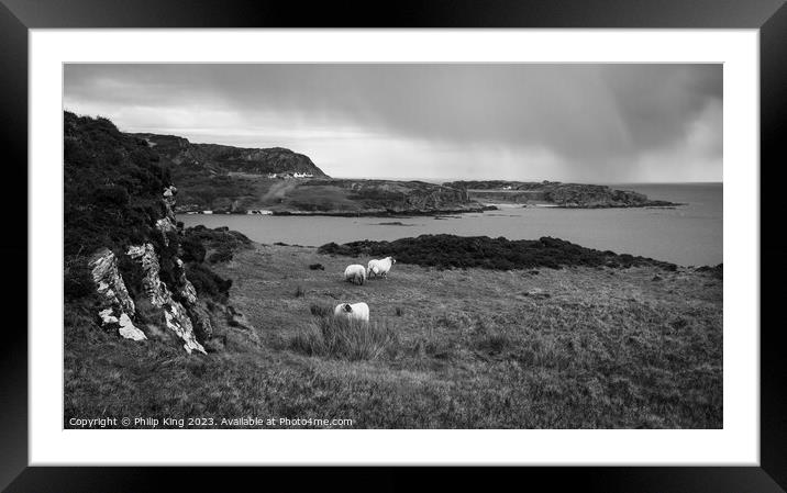 Colonsay Sheep with Rain Approaching Framed Mounted Print by Philip King
