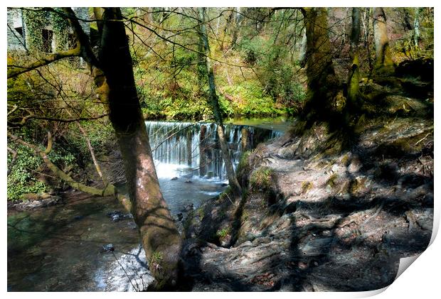 Stock Ghyll Waterfall, Lake District Print by Kate Lake