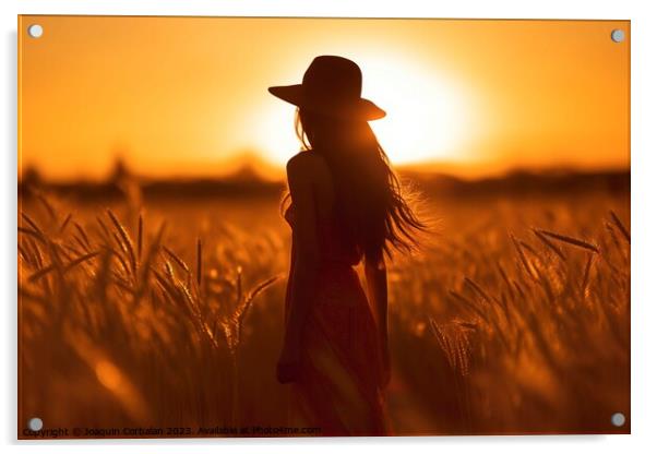 Silhouette of a young woman in a hat who walks at sunset among the grasses of the cereal field. Ai generated. Acrylic by Joaquin Corbalan