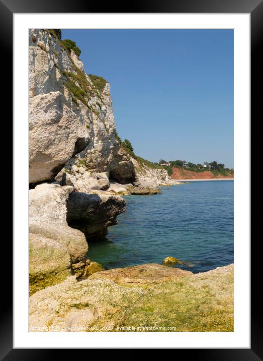 White Cliffs at Beer Framed Mounted Print by CHRIS BARNARD
