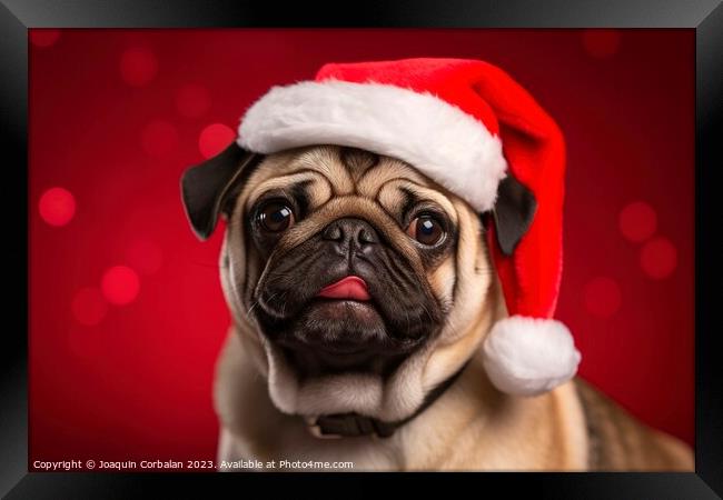 A charming dog wears a Christmas hat and poses aga Framed Print by Joaquin Corbalan