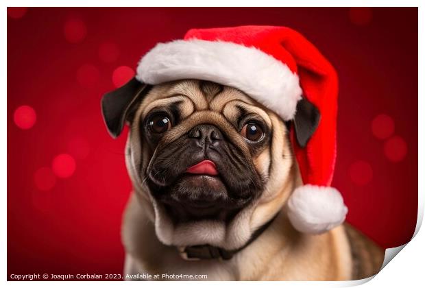 A charming dog wears a Christmas hat and poses aga Print by Joaquin Corbalan
