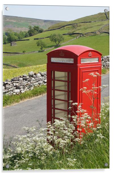 Red telephone box at Keld. Acrylic by David Birchall