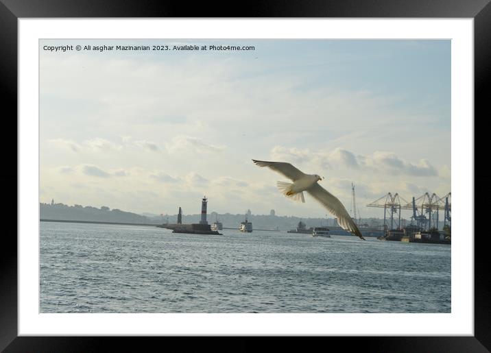 Serene Horizon Framed Mounted Print by Ali asghar Mazinanian