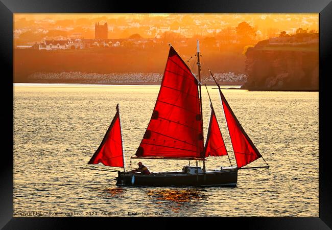 Torbay Boat Framed Print by Alison Chambers