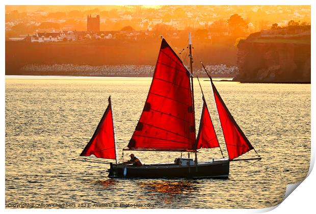 Torbay Boat Print by Alison Chambers