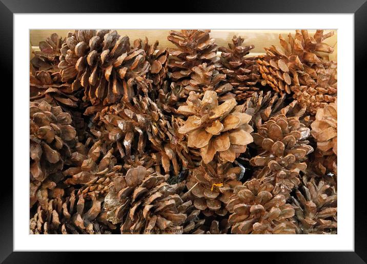 Pine cones Framed Mounted Print by Annette Johnson