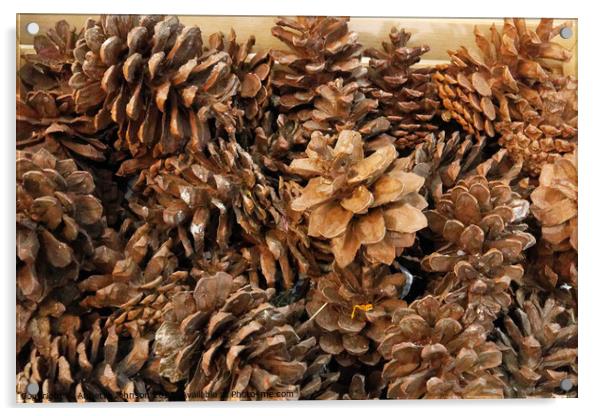 Pine cones Acrylic by Annette Johnson