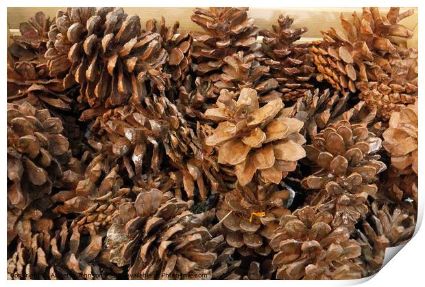 Pine cones Print by Annette Johnson