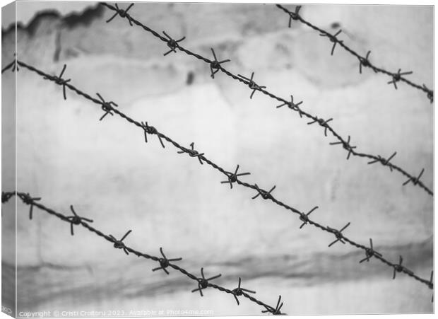 Barbed wire fence Canvas Print by Cristi Croitoru