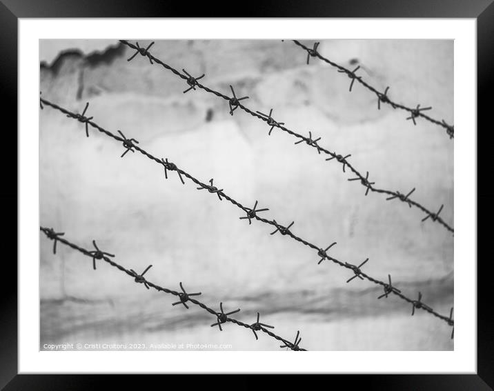 Barbed wire fence Framed Mounted Print by Cristi Croitoru
