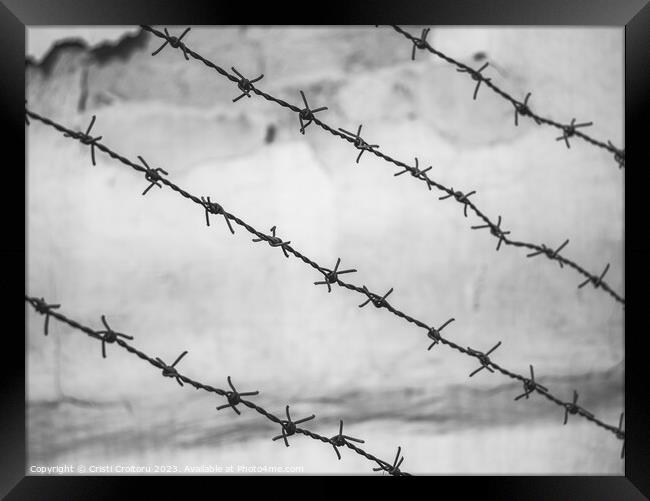 Barbed wire fence Framed Print by Cristi Croitoru