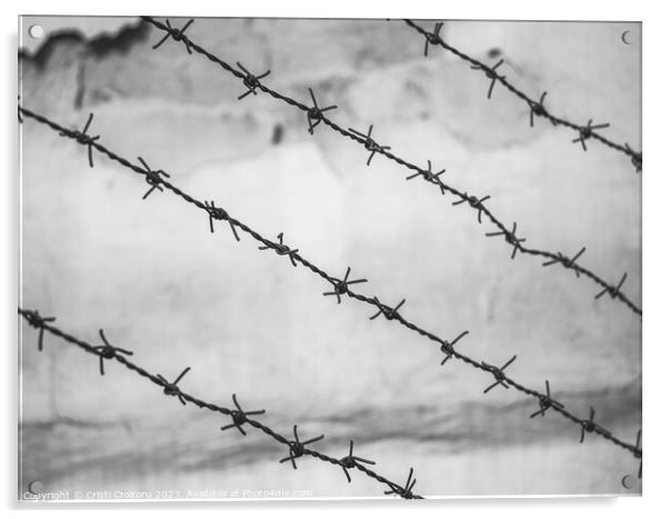 Barbed wire fence Acrylic by Cristi Croitoru
