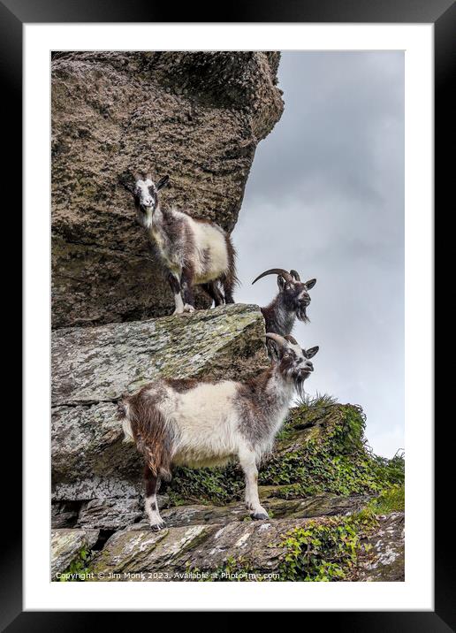 Cliff-hanging Feral Goats Framed Mounted Print by Jim Monk