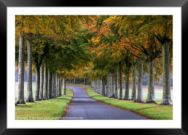 The Enchanted Beech Avenue Framed Mounted Print by Jim Monk