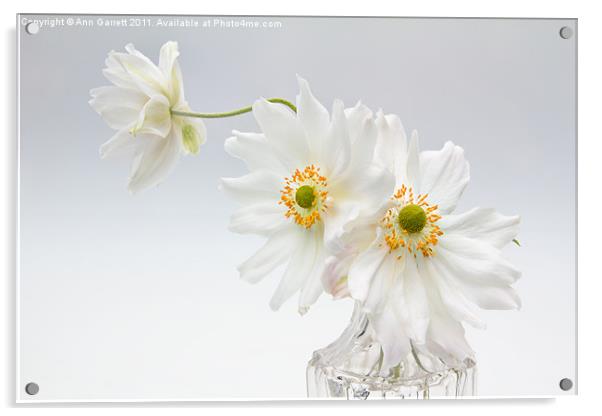 White Anemones in a Glass Bottle Acrylic by Ann Garrett