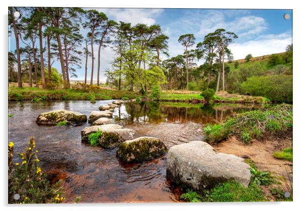 sherberton stones Dartmoor national park Acrylic by Eddie John