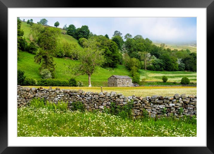 Stone Cattle and Sheep Barn Swaledale Framed Mounted Print by Tim Hill
