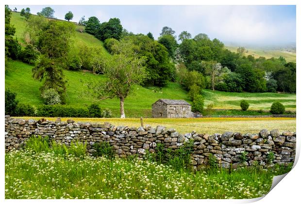 Stone Cattle and Sheep Barn Swaledale Print by Tim Hill