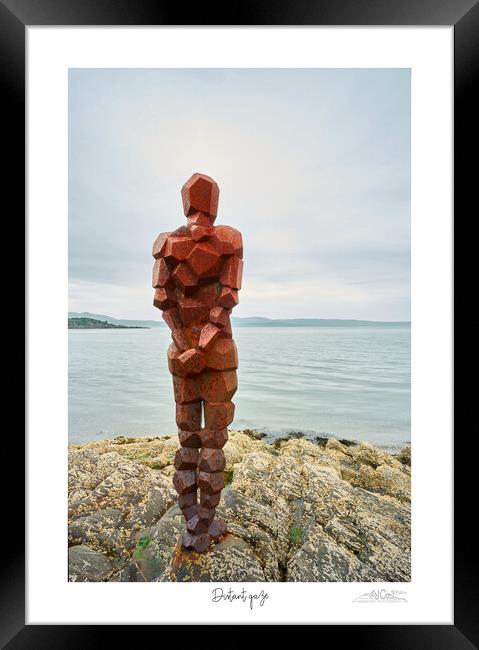 Sentinel of the Coast Framed Print by JC studios LRPS ARPS