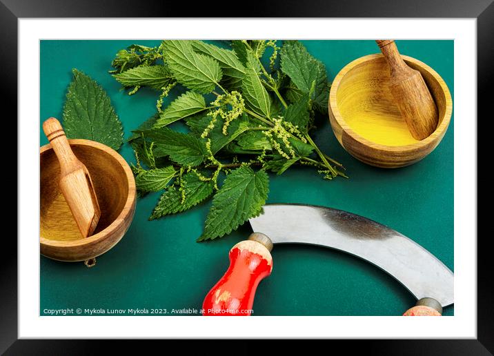 Nettle fresh green leaves and knife. Framed Mounted Print by Mykola Lunov Mykola