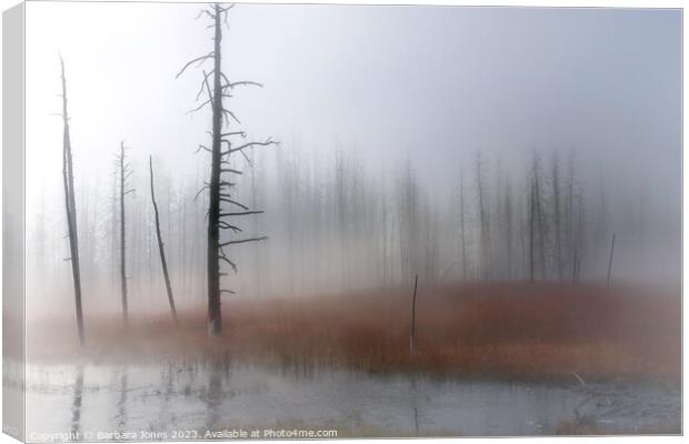 Misty Moments, Yellowstone USA Canvas Print by Barbara Jones