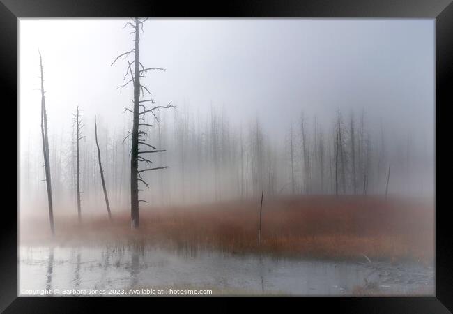 Misty Moments, Yellowstone USA Framed Print by Barbara Jones