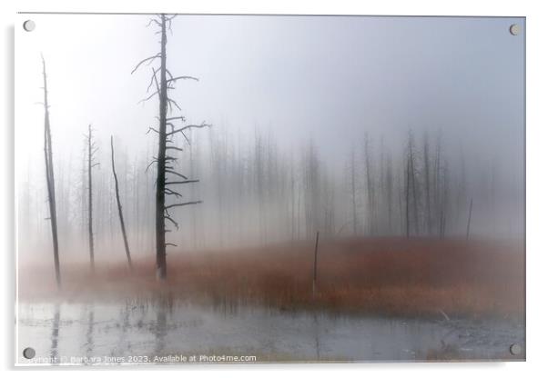 Misty Moments, Yellowstone USA Acrylic by Barbara Jones