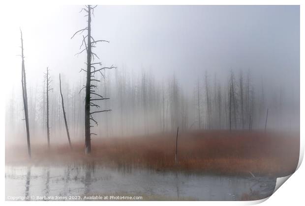 Misty Moments, Yellowstone USA Print by Barbara Jones