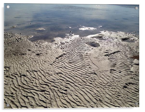 Dry Bay Sea Floor Acrylic by John Marzlak