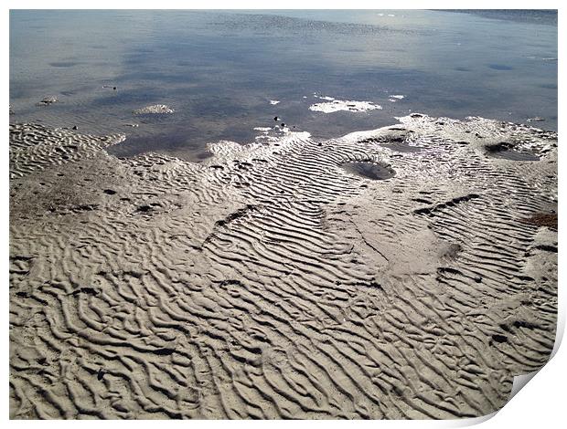 Dry Bay Sea Floor Print by John Marzlak