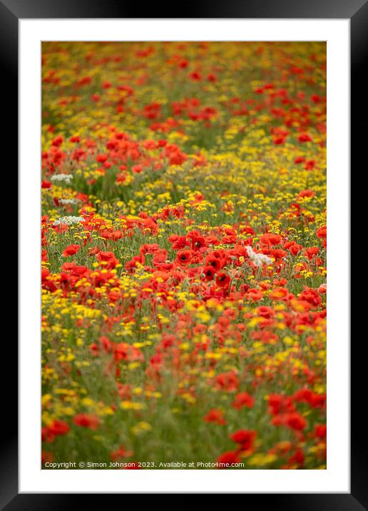 Poppy and wild flower  field Framed Mounted Print by Simon Johnson