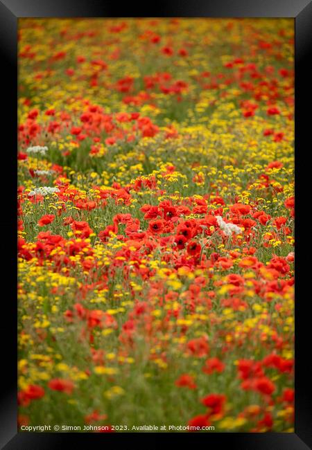 Poppy and wild flower  field Framed Print by Simon Johnson