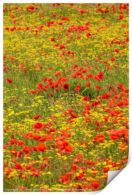 poppy and wild flower field Print by Simon Johnson