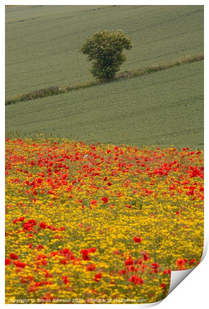 Golden sunrise over wildflower meadow Print by Simon Johnson