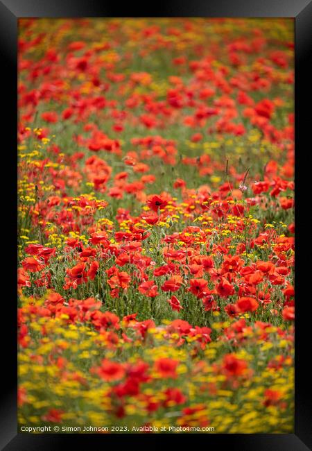 Poppy Field Framed Print by Simon Johnson