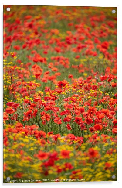 Poppy Field Acrylic by Simon Johnson