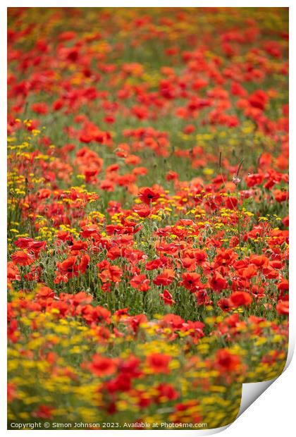 Poppy Field Print by Simon Johnson