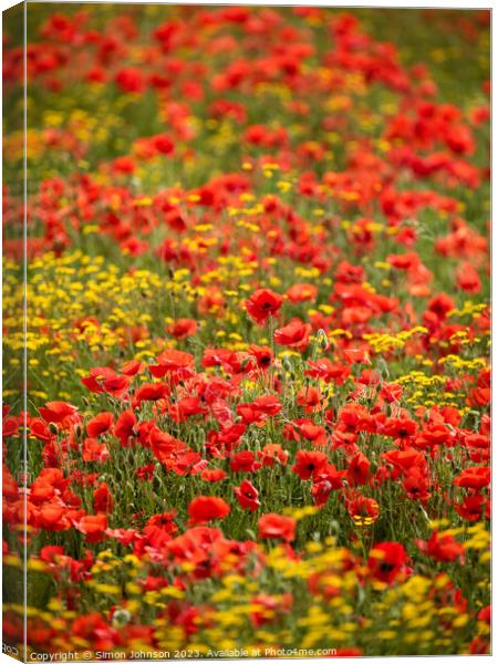 wild flower meadow with poppies Canvas Print by Simon Johnson