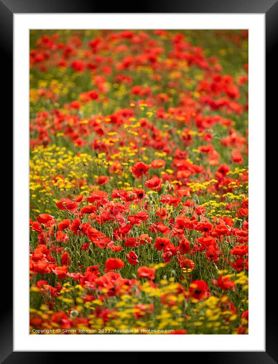 wild flower meadow with poppies Framed Mounted Print by Simon Johnson