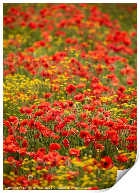 wild flower meadow with poppies Print by Simon Johnson