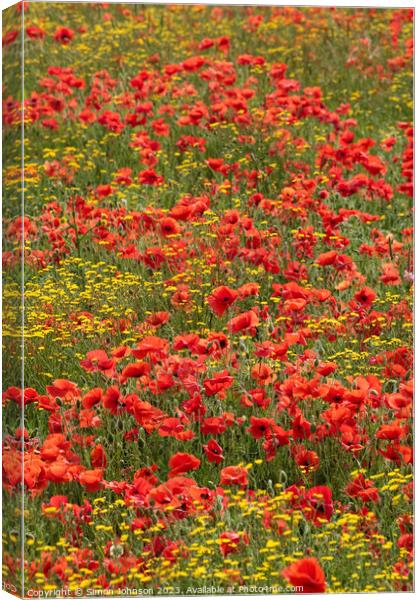 Wild flowers  and poppies  Canvas Print by Simon Johnson