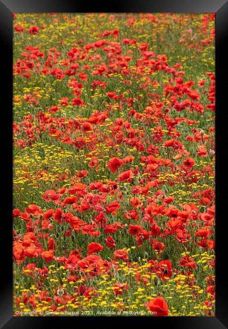 Wild flowers  and poppies  Framed Print by Simon Johnson