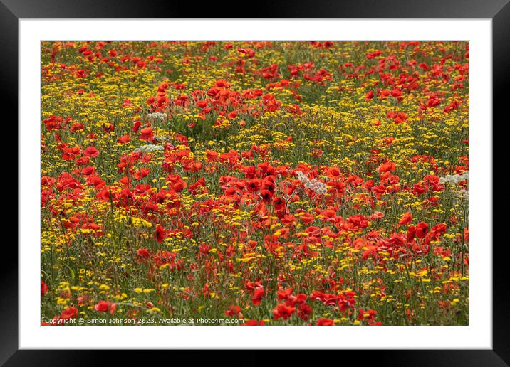  wild flowers and poppies  Framed Mounted Print by Simon Johnson