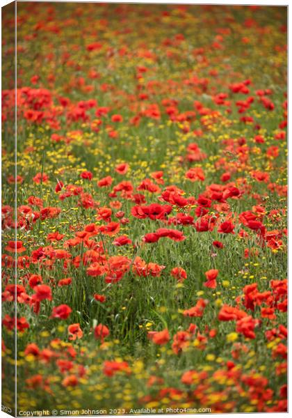Wild flowers  with poppies  Canvas Print by Simon Johnson