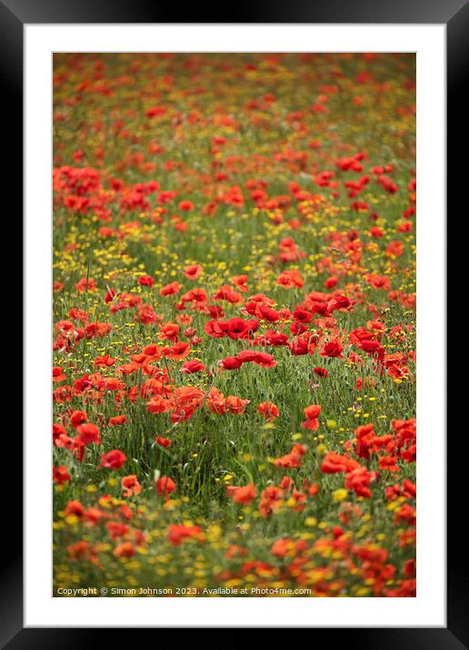 Wild flowers  with poppies  Framed Mounted Print by Simon Johnson