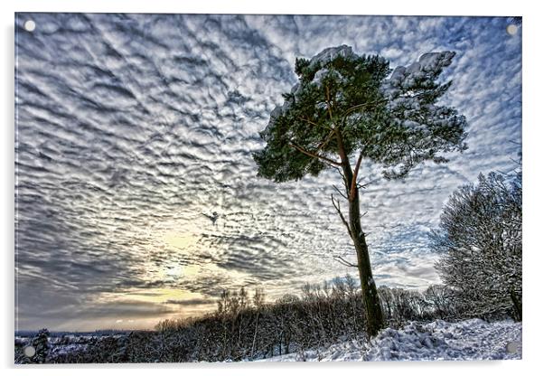 Winter tree Acrylic by Tony Bates