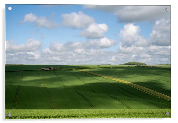 Wolds Light Acrylic by Richard Burdon