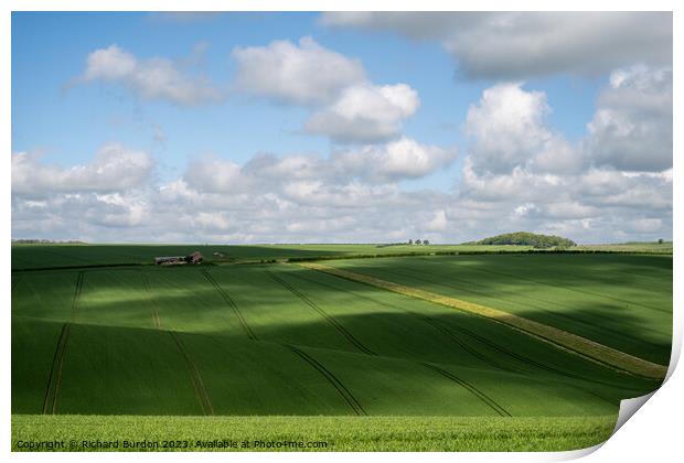 Wolds Light Print by Richard Burdon