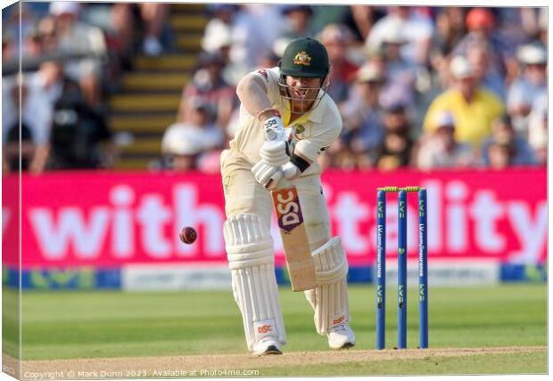 David Warner (Australia) batting. Canvas Print by Mark Dunn